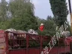 塔柏發(fā)貨廣西百色裝車(chē)現(xiàn)場(chǎng)